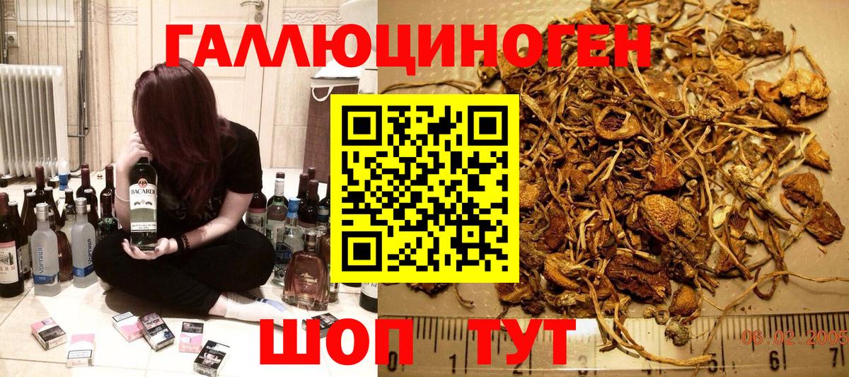 Галлюциногенные грибы ЛСД Губкинский